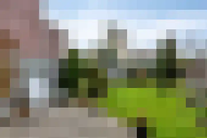 Klaproos 9 Purmerend thumbnail 32