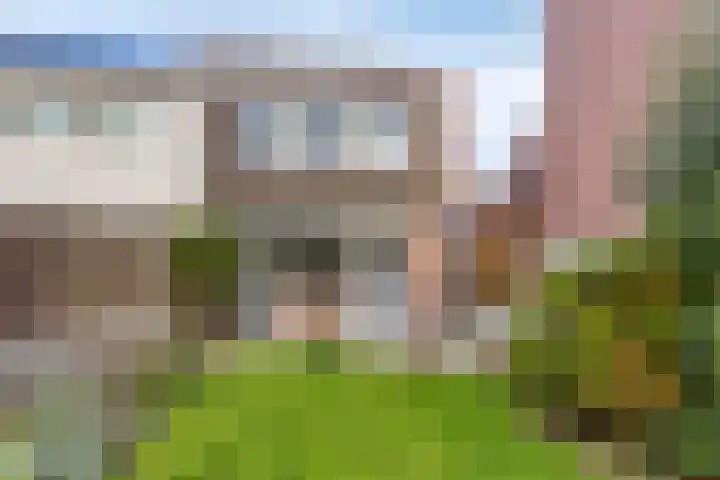 Klaproos 9 Purmerend thumbnail 34
