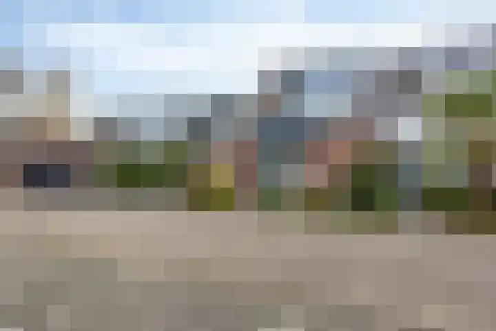 Klaproos 9 Purmerend thumbnail 36