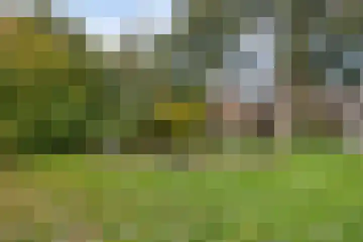 Klaproos 9 Purmerend thumbnail 37