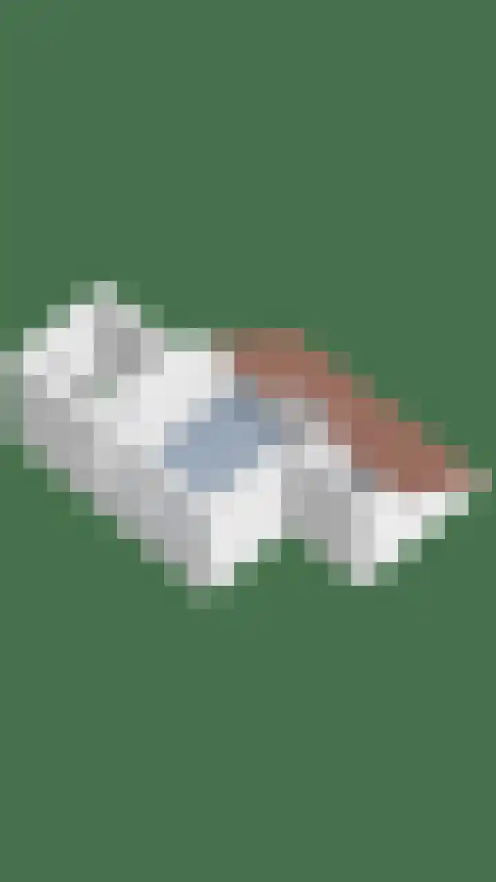Klaproos 9 Purmerend thumbnail 42