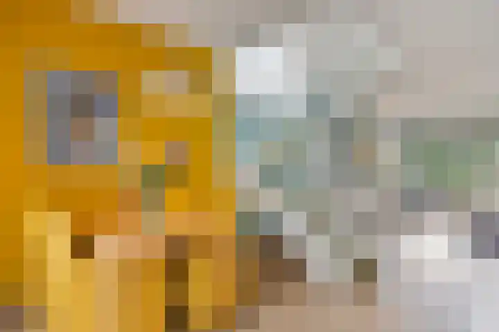 Klaproosakker 32 Veessen thumbnail 11