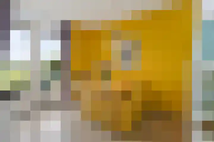 Klaproosakker 32 Veessen thumbnail 12