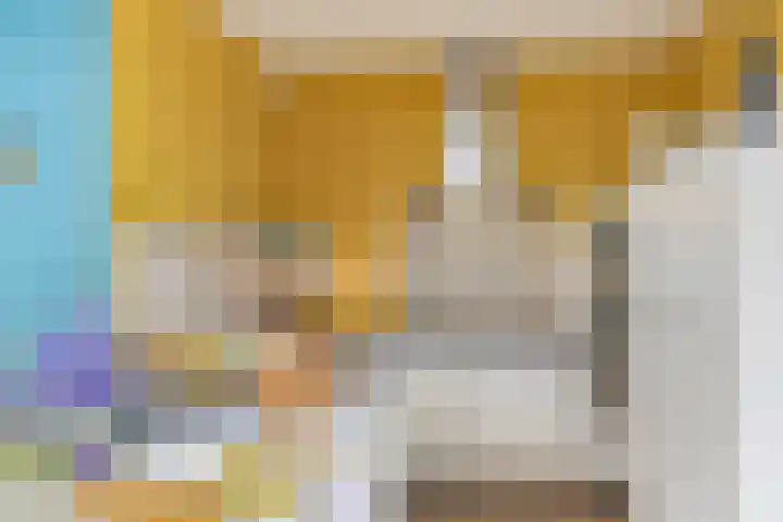 Klaproosakker 32 Veessen thumbnail 15