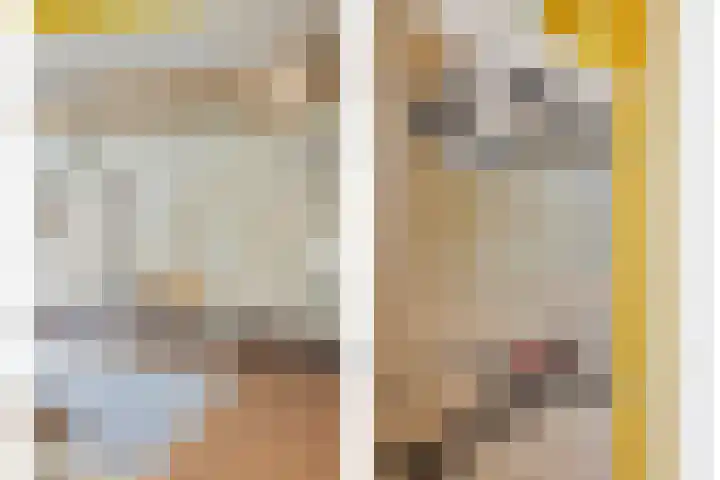 Klaproosakker 32 Veessen thumbnail 20