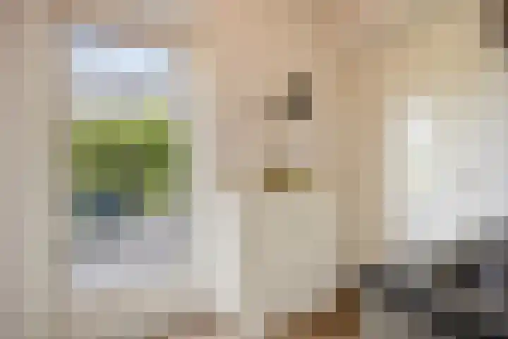 Klaproosakker 32 Veessen thumbnail 21