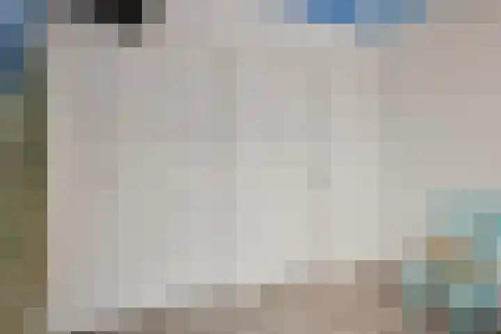 Klaproosakker 32 Veessen thumbnail 25