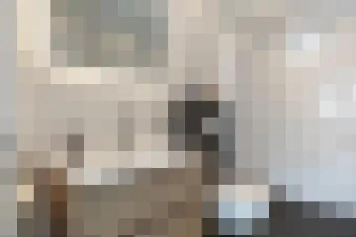 Klaproosakker 32 Veessen thumbnail 26