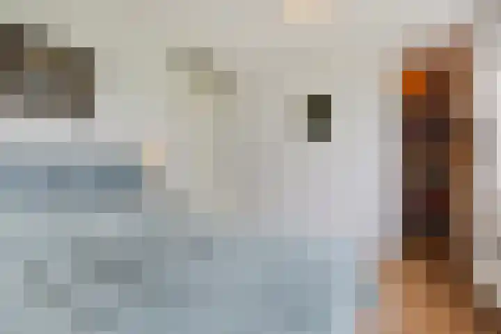 Klaproosakker 32 Veessen thumbnail 31