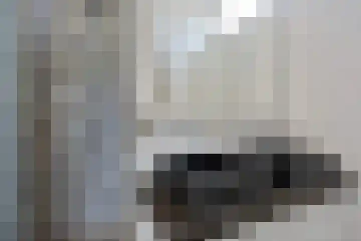 Klaproosakker 32 Veessen thumbnail 36