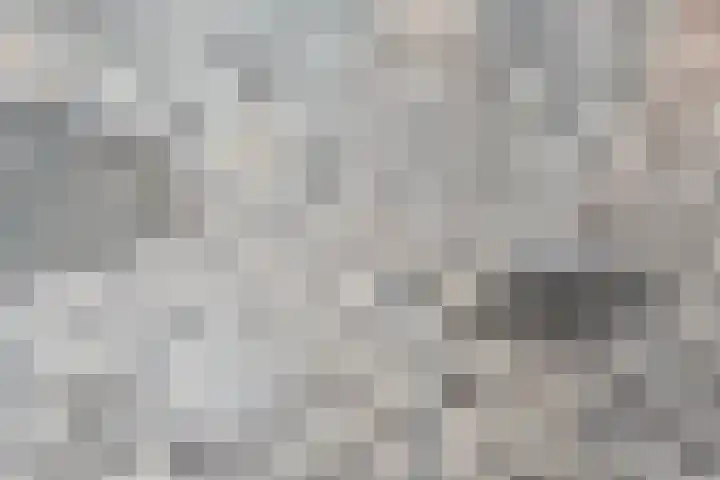 Klaproosakker 32 Veessen thumbnail 38