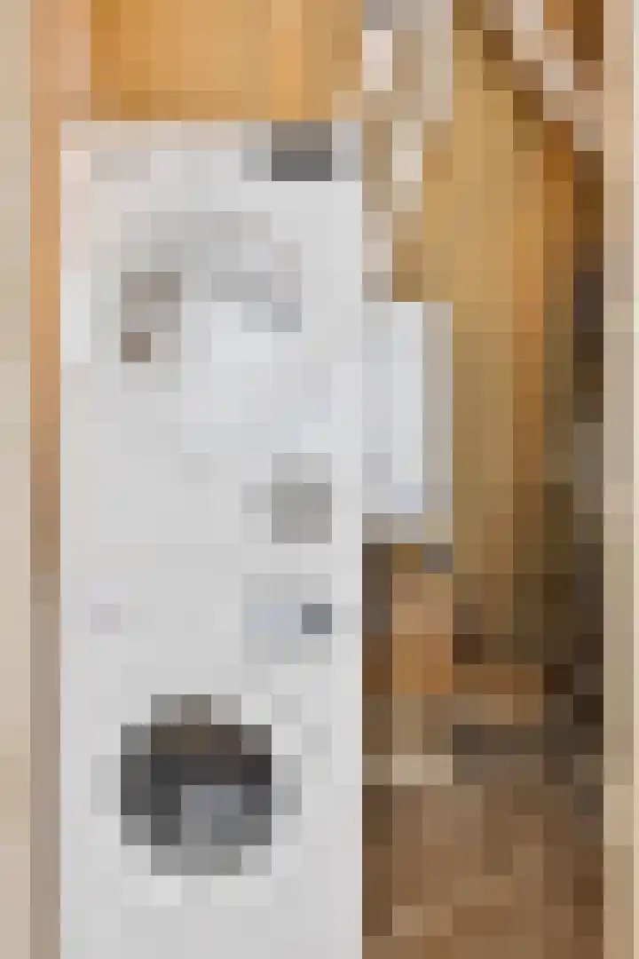 Klaproosakker 32 Veessen thumbnail 45