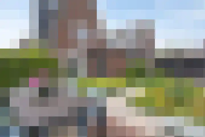 Klaproosakker 32 Veessen thumbnail 47