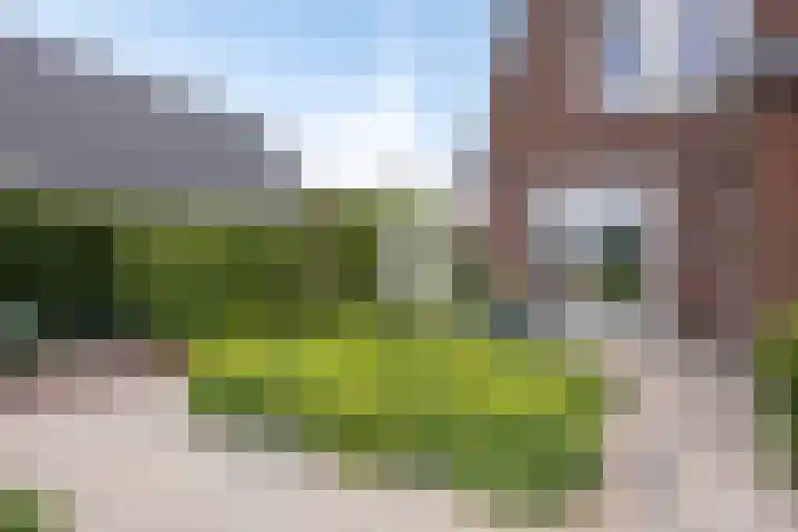 Klaproosakker 32 Veessen thumbnail 48