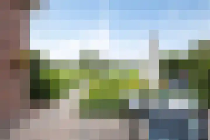 Klaproosakker 32 Veessen thumbnail 49