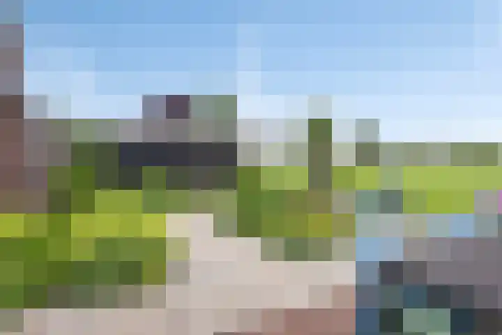 Klaproosakker 32 Veessen thumbnail 50