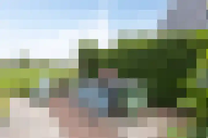 Klaproosakker 32 Veessen thumbnail 51