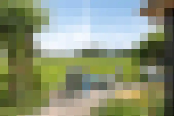 Klaproosakker 32 Veessen thumbnail 53