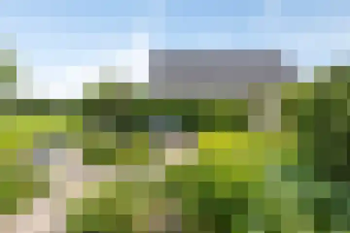 Klaproosakker 32 Veessen thumbnail 55