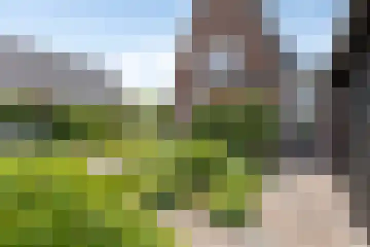 Klaproosakker 32 Veessen thumbnail 56