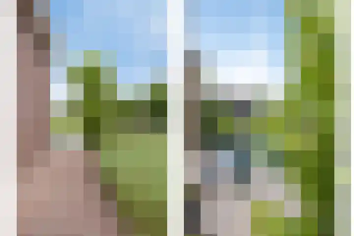 Klaproosakker 32 Veessen thumbnail 57