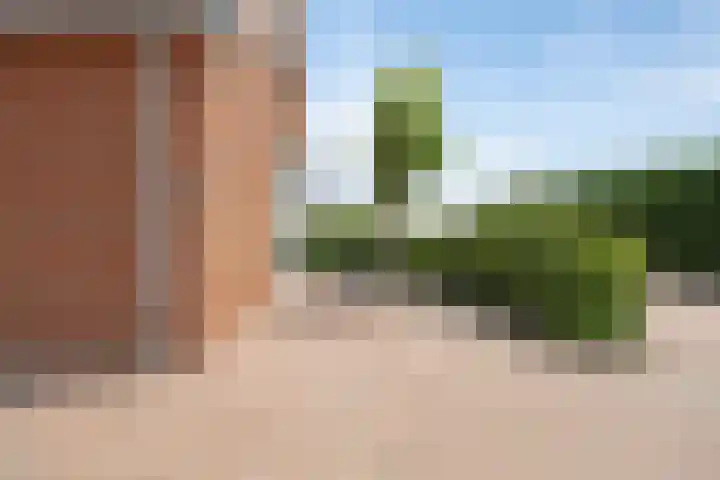 Klaproosakker 32 Veessen thumbnail 58