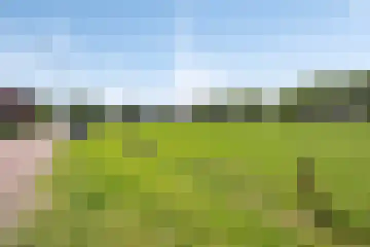 Klaproosakker 32 Veessen thumbnail 65