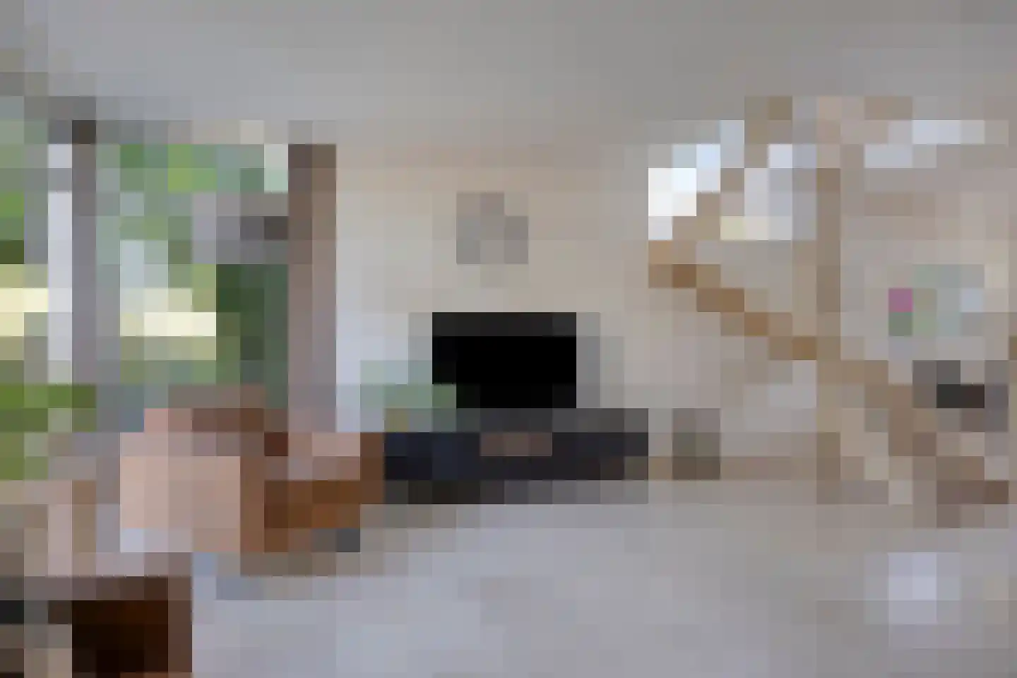Klaproosakker 34 Veessen thumbnail 11