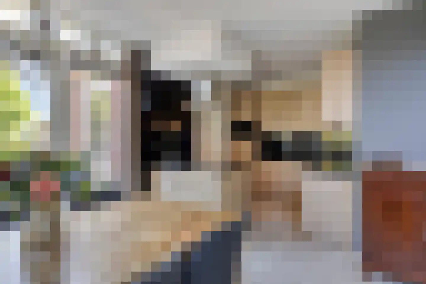 Klaproosakker 34 Veessen thumbnail 15