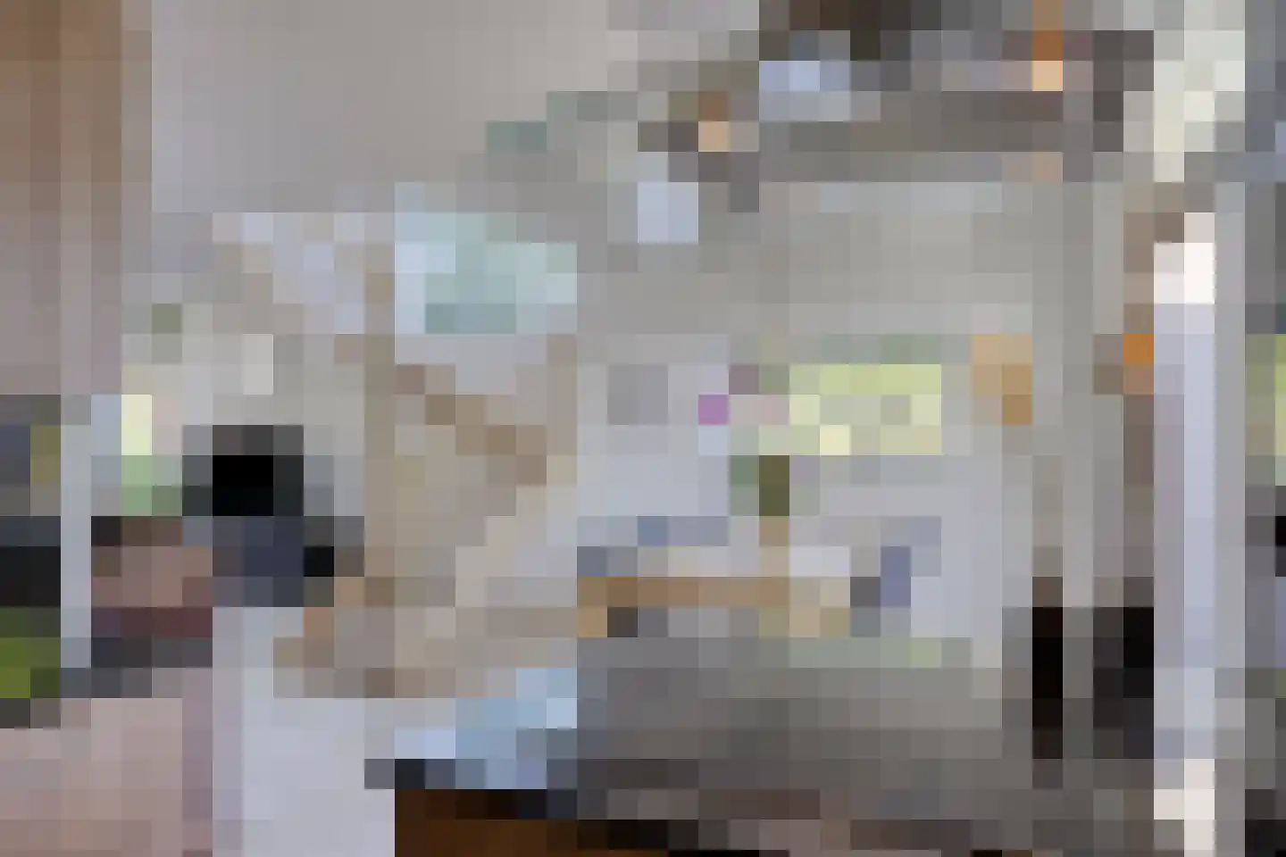 Klaproosakker 34 Veessen thumbnail 19