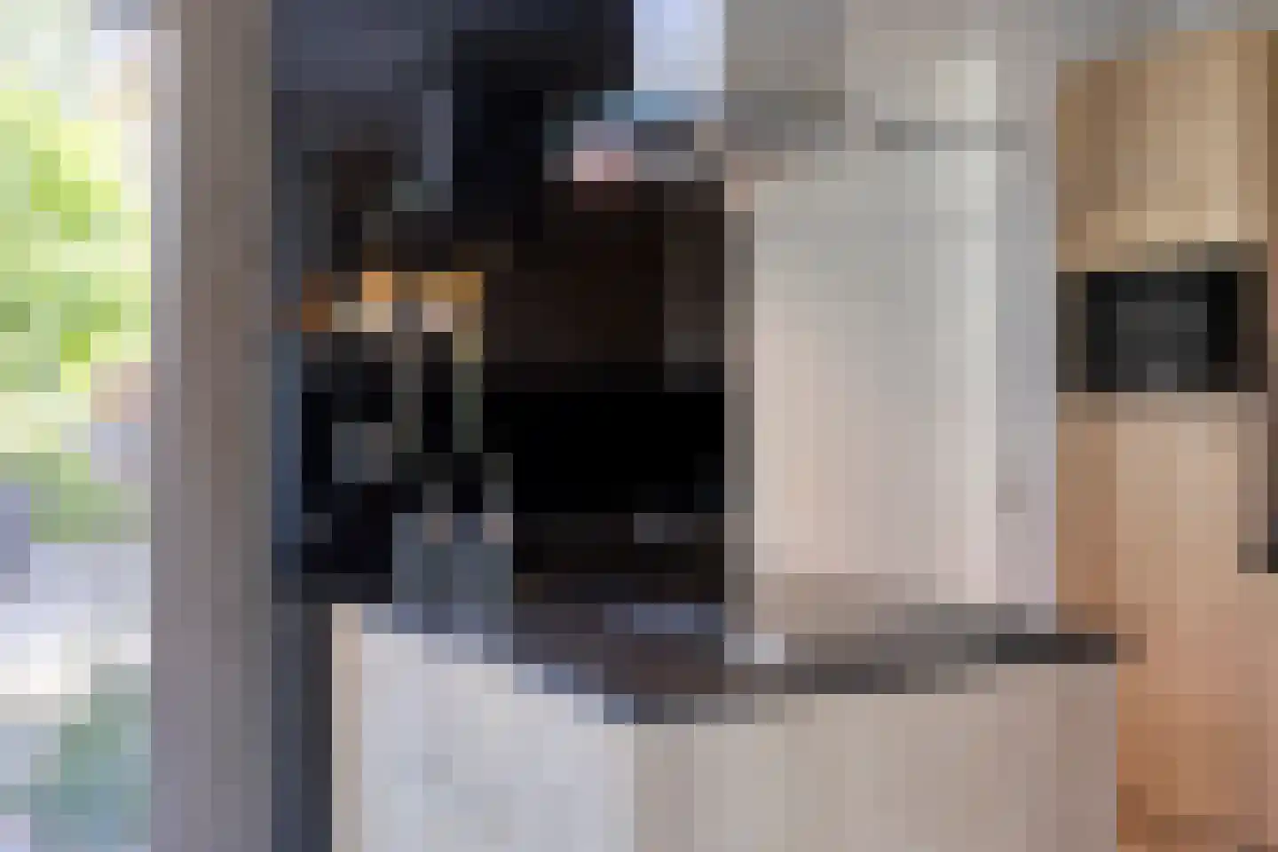 Klaproosakker 34 Veessen thumbnail 20