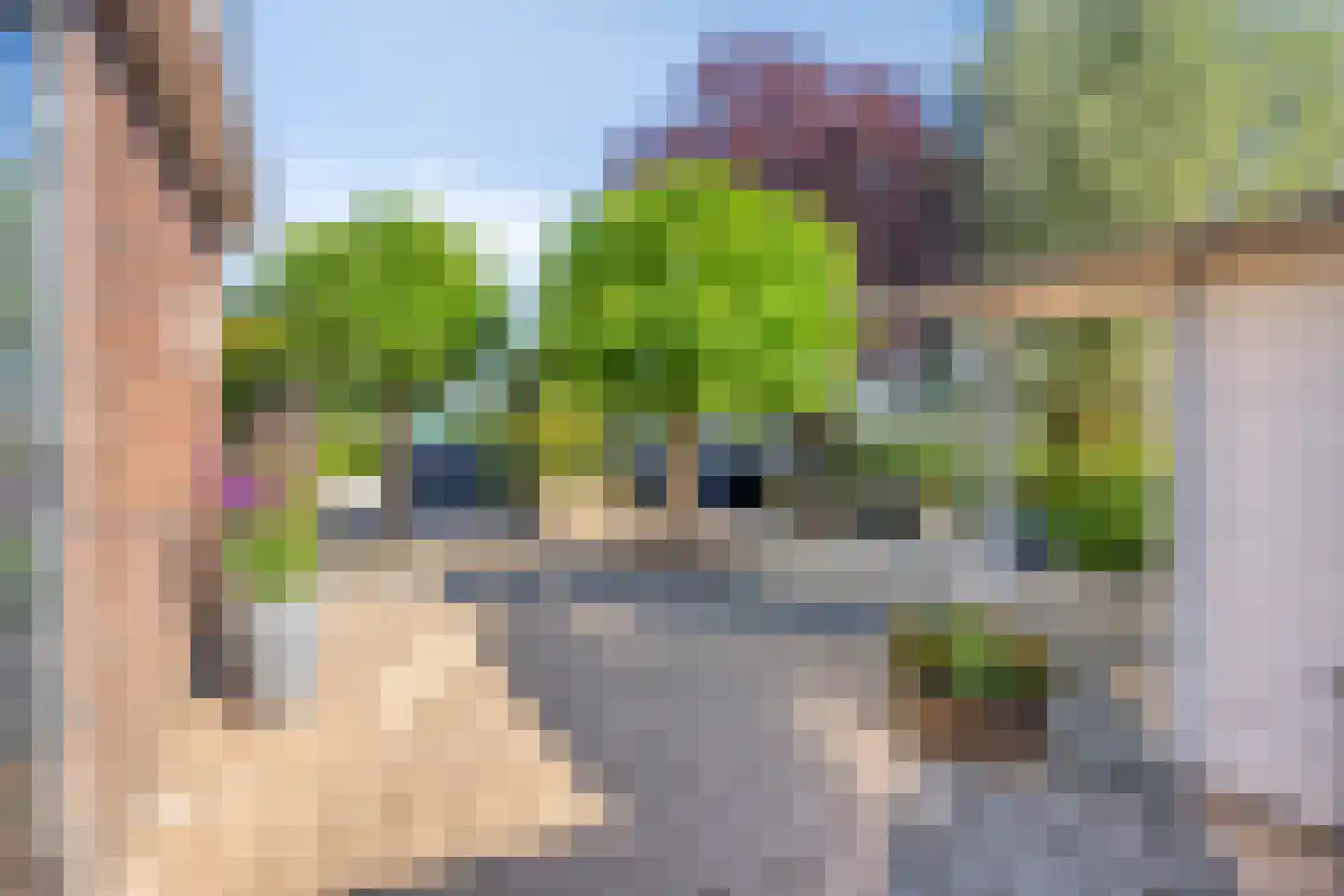 Klaproosakker 34 Veessen thumbnail 40