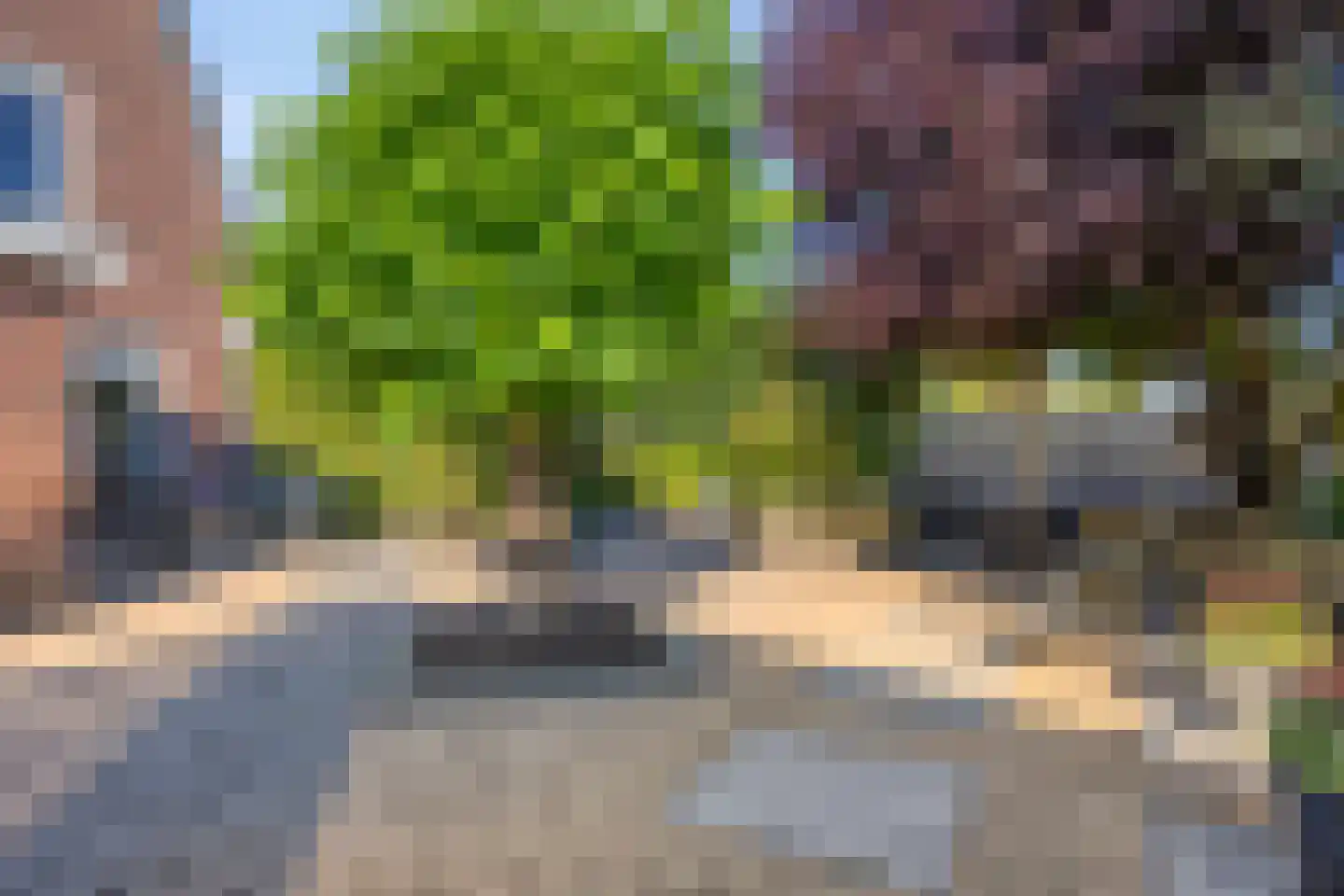 Klaproosakker 34 Veessen thumbnail 41