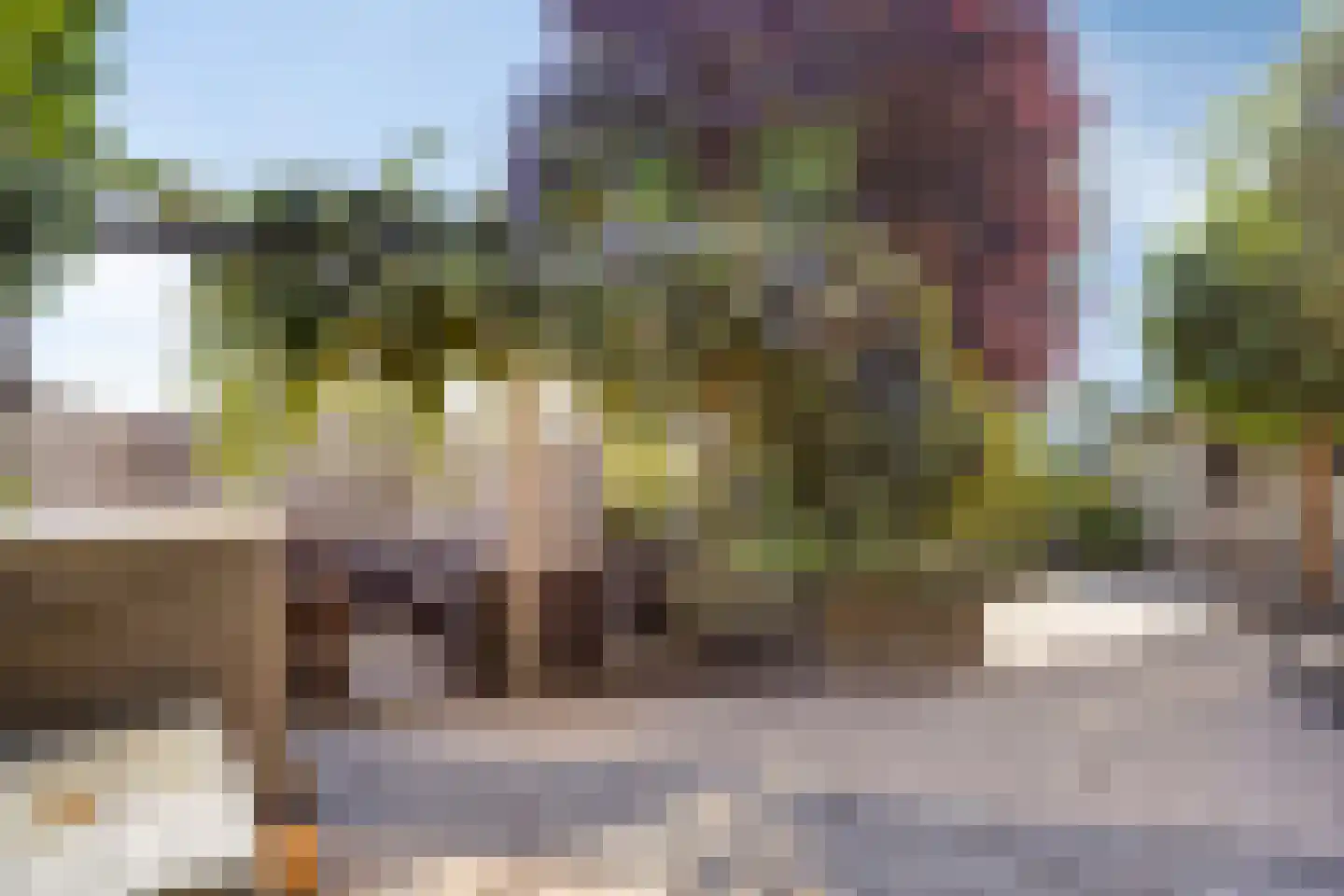 Klaproosakker 34 Veessen thumbnail 43