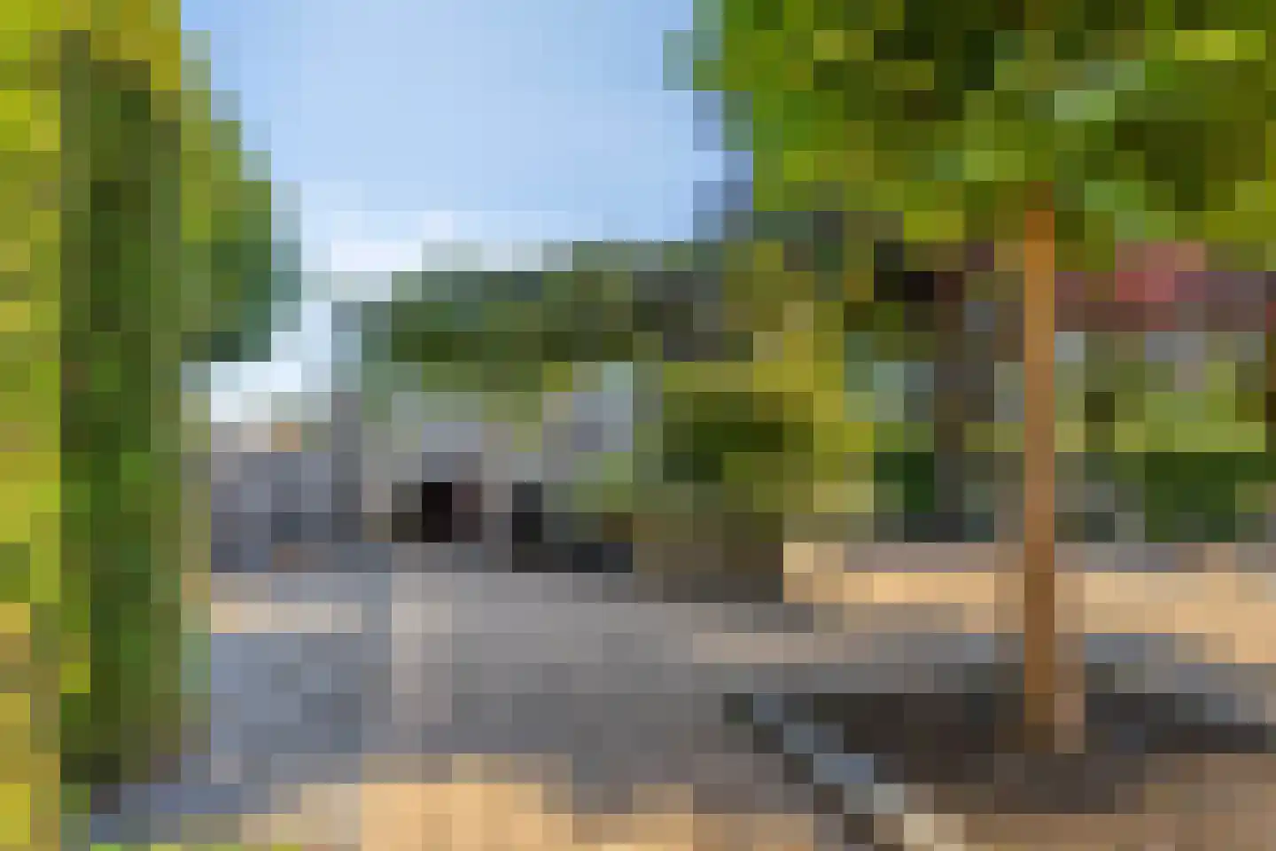 Klaproosakker 34 Veessen thumbnail 44