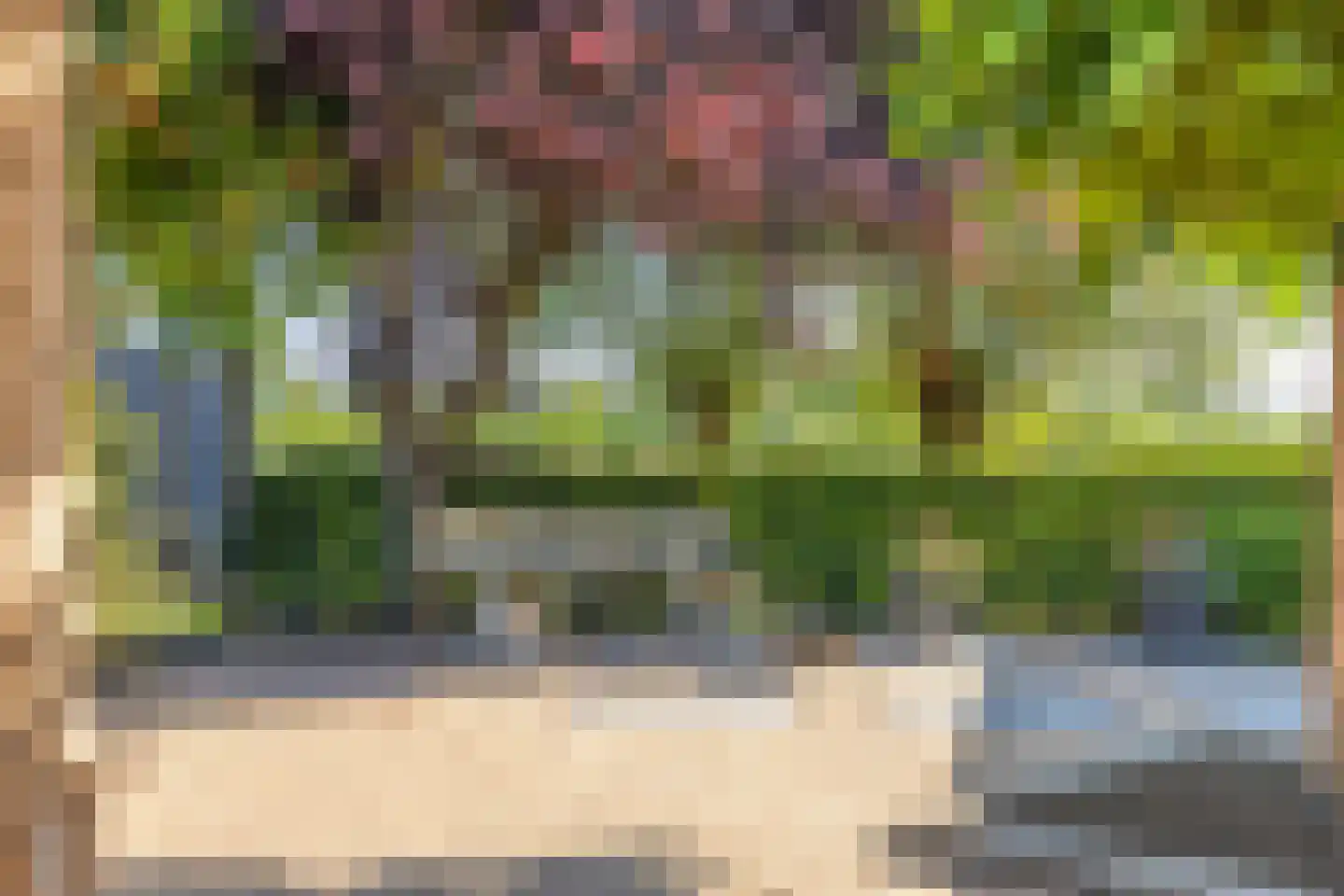 Klaproosakker 34 Veessen thumbnail 46