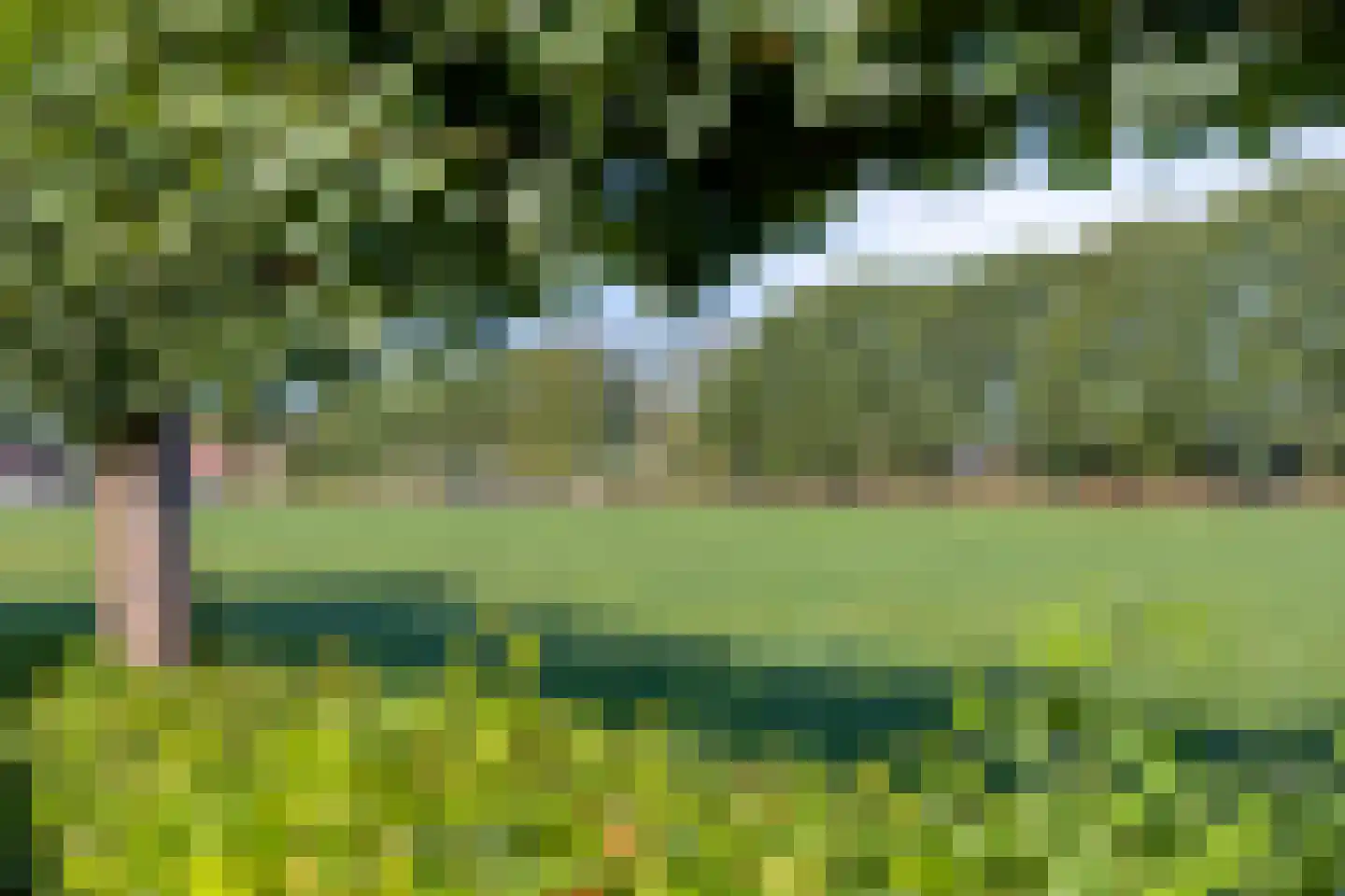 Klaproosakker 34 Veessen thumbnail 48