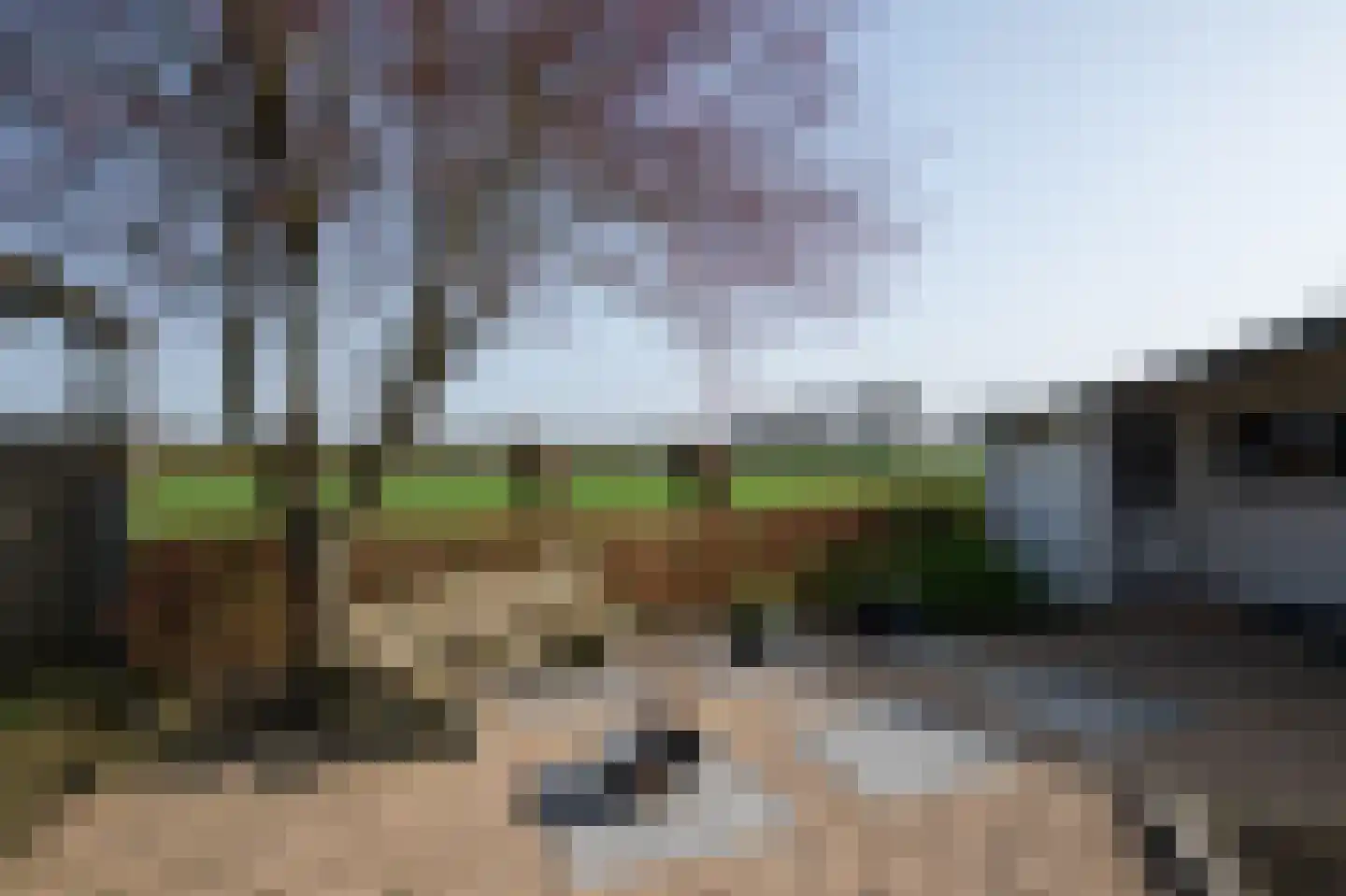 Klaproosakker 34 Veessen thumbnail 49