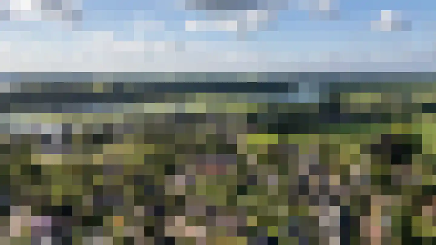 Klaproosakker 34 Veessen thumbnail 5