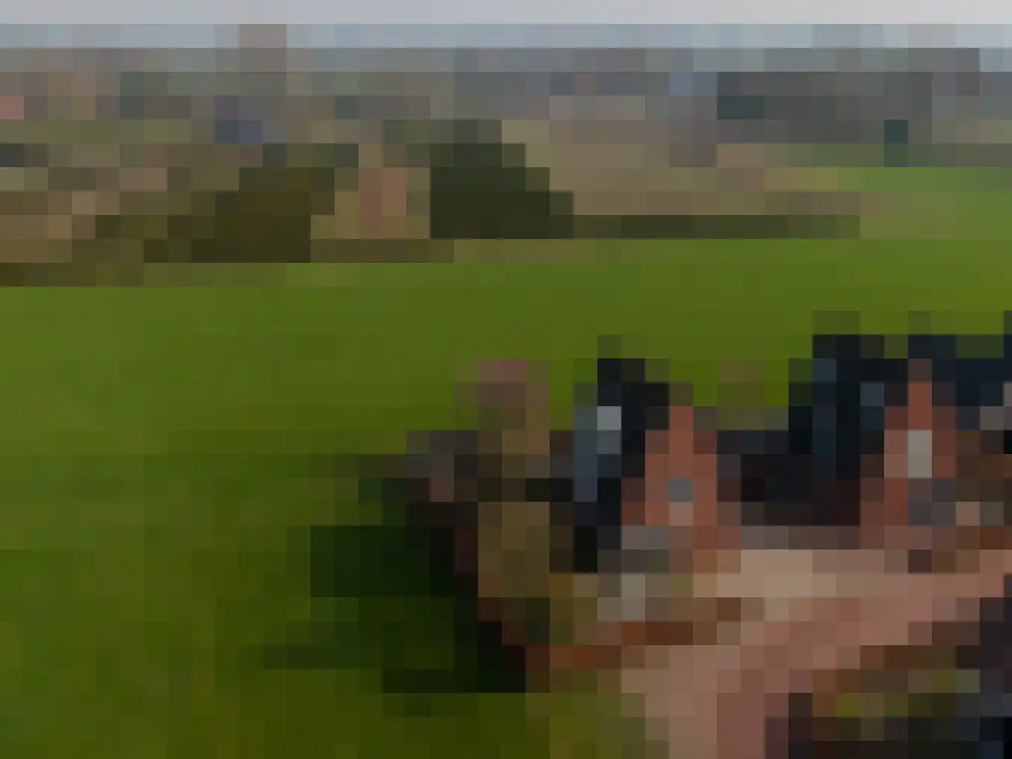 Klaproosakker 34 Veessen thumbnail 54