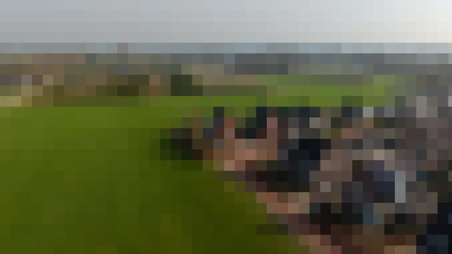 Klaproosakker 34 Veessen thumbnail 55