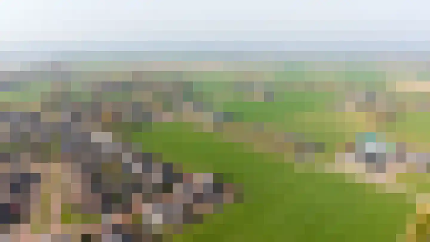Klaproosakker 34 Veessen thumbnail 56
