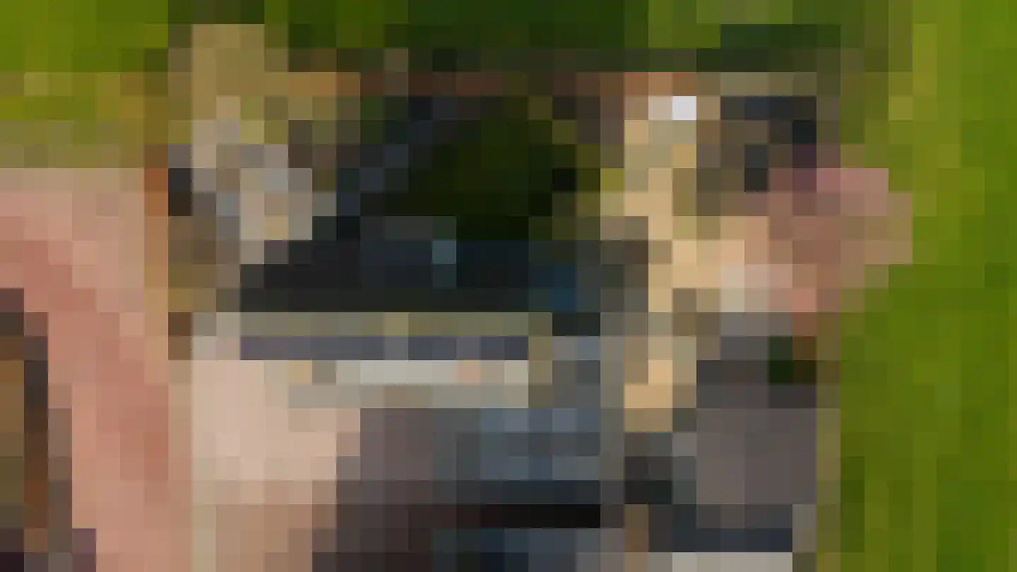 Klaproosakker 34 Veessen thumbnail 57
