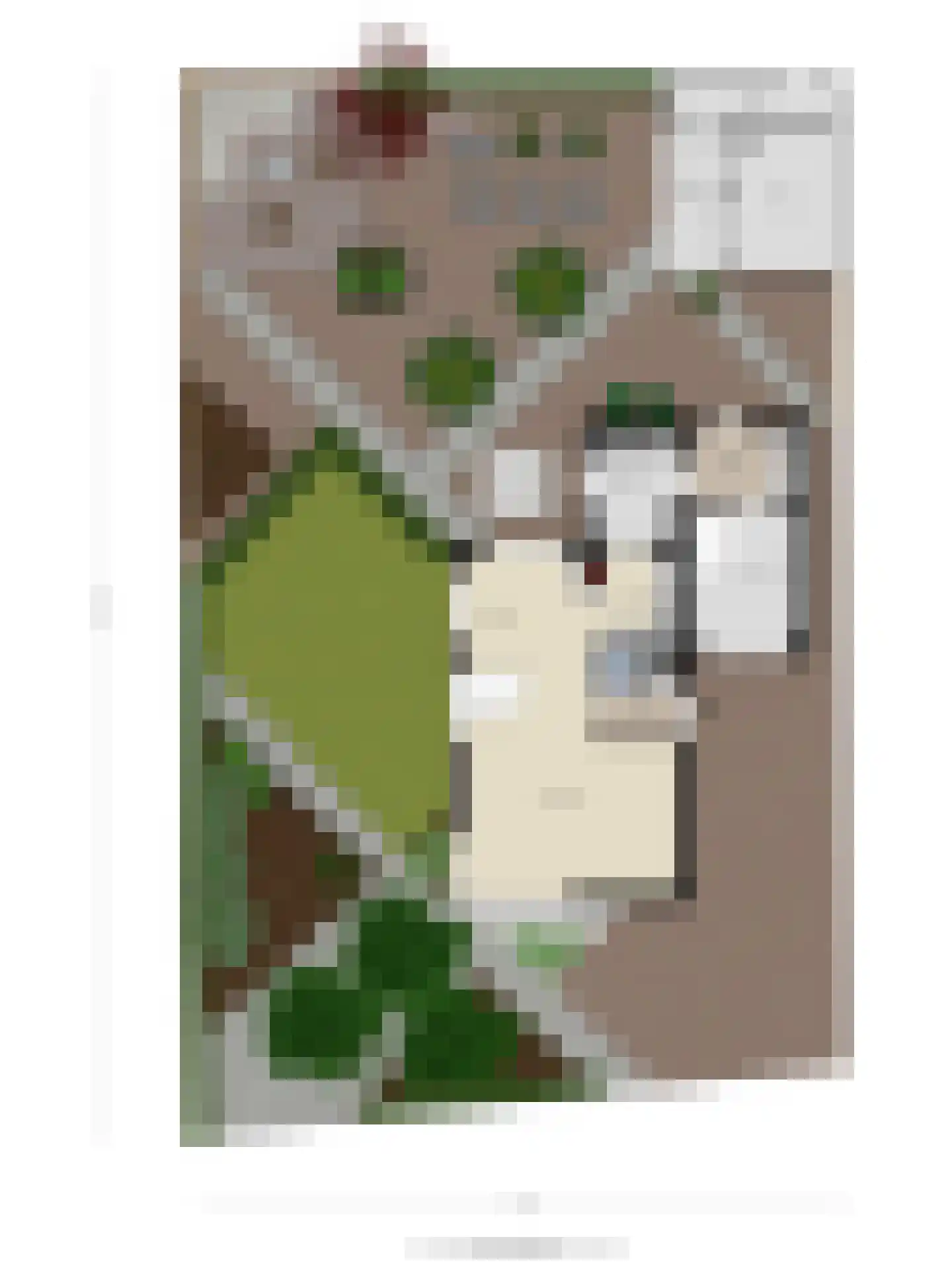 Klaproosakker 34 Veessen thumbnail 61