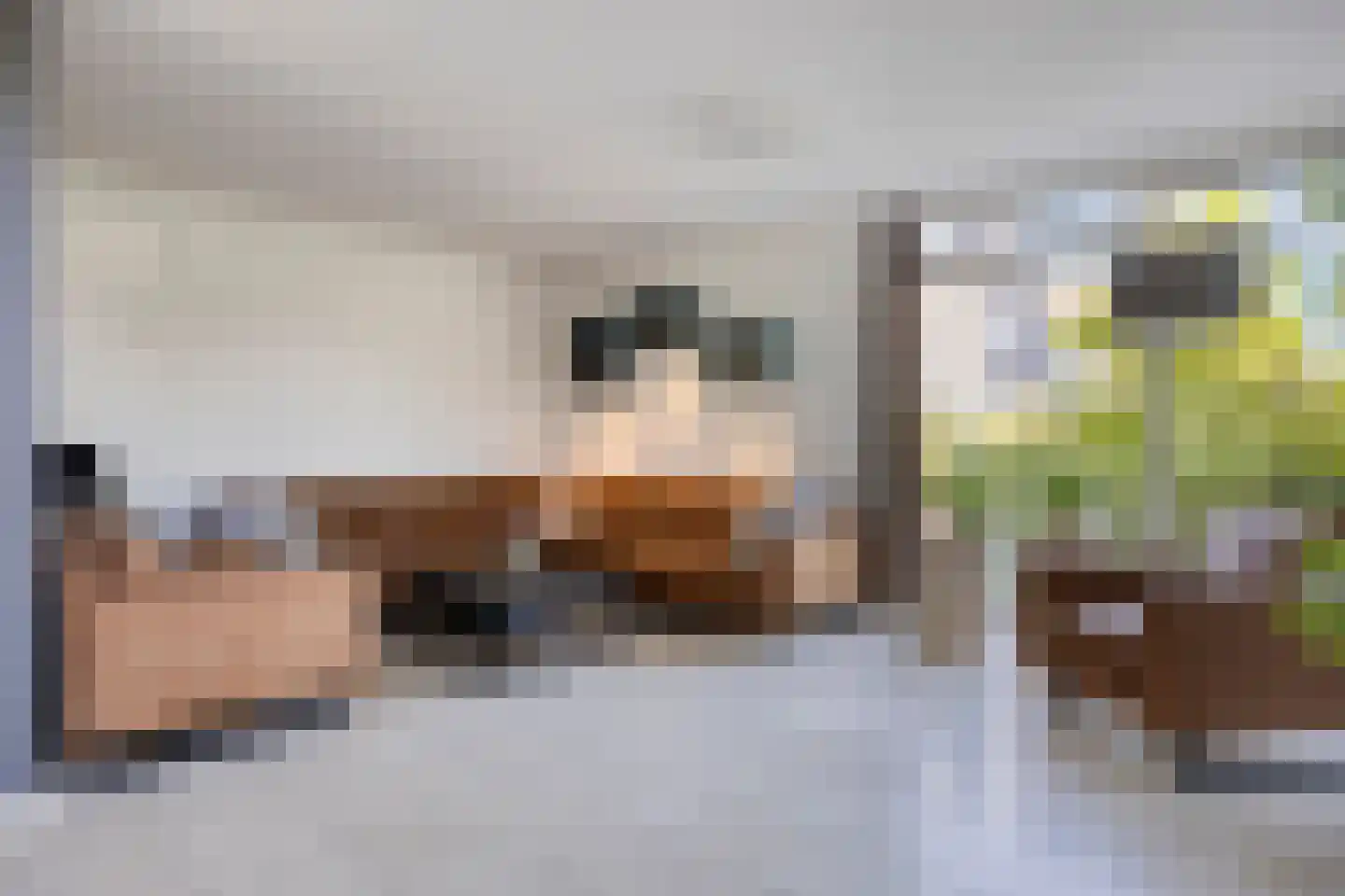 Klaproosakker 34 Veessen thumbnail 8