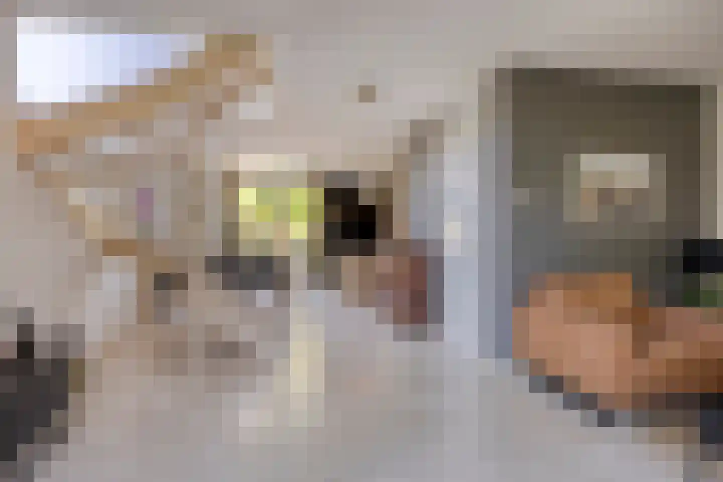 Klaproosakker 34 Veessen thumbnail 9