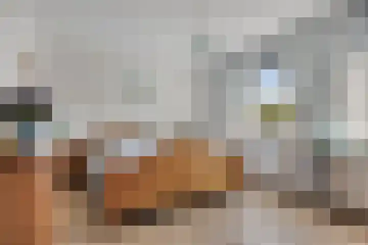 Klaproosberg 10 Roosendaal thumbnail 13
