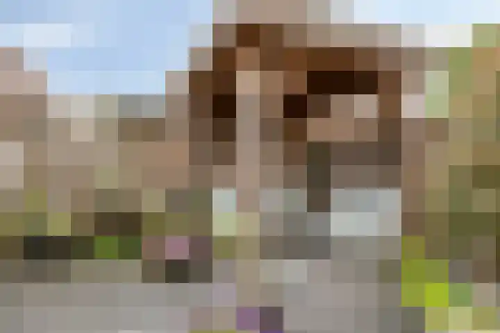 Klaproosberg 10 Roosendaal thumbnail 22