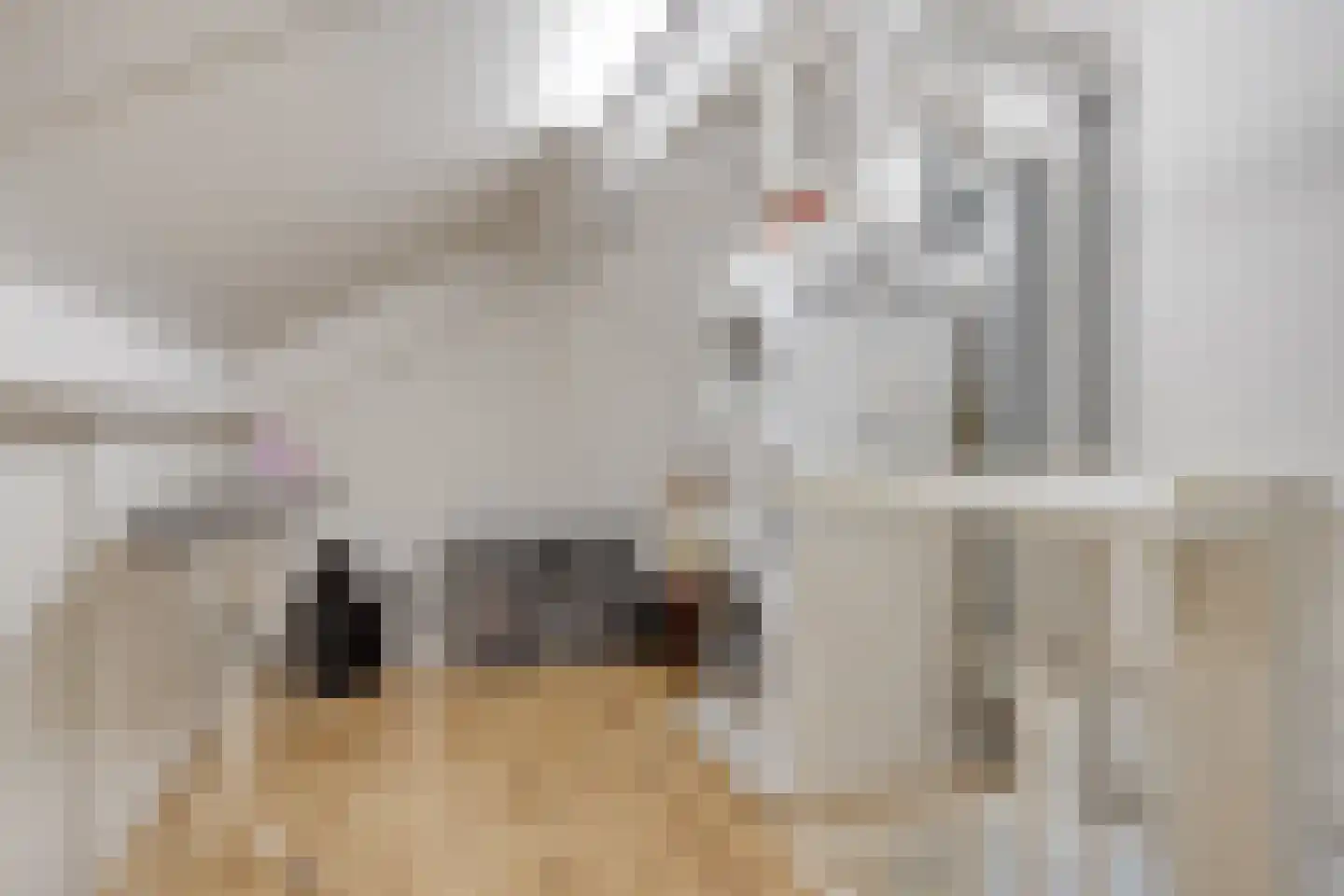 Klaproosberg 2 Roosendaal thumbnail 23