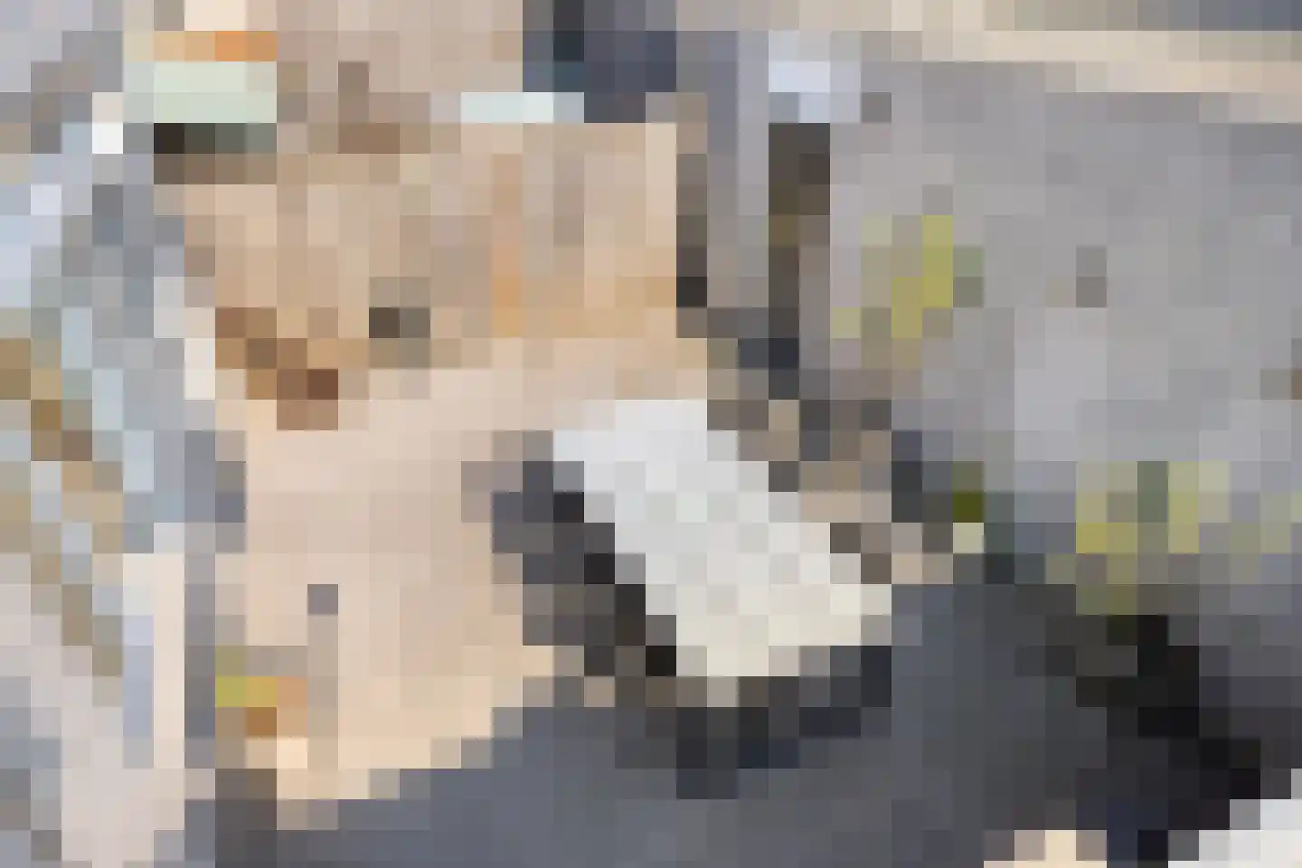 Klaproosberg 2 Roosendaal thumbnail 30